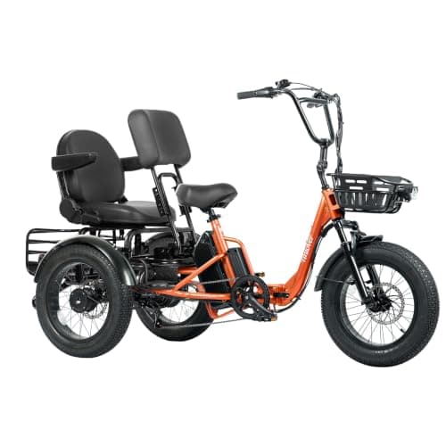 TINIOVER Creek Folding Electric Tricycle