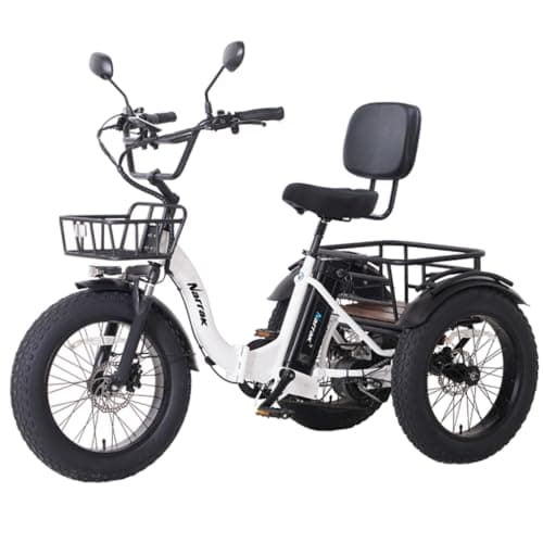 NARRAK 750W Fat Tire Electric Tricycle