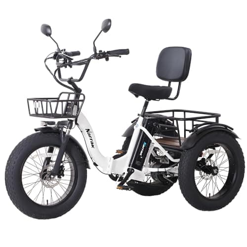 NARRAK 750W Fat Tire Electric Tricycle