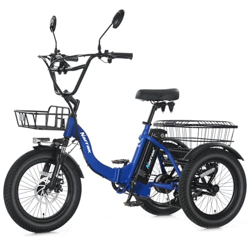 NARRAK Folding Fat Tire Electric Trike