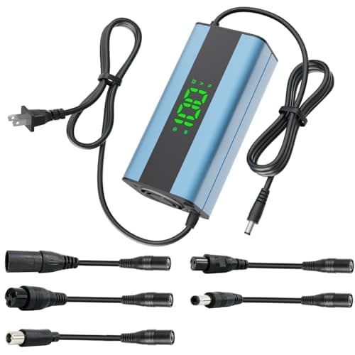 DIDIDLSHLAX 42V/54.6V Smart Display Charger