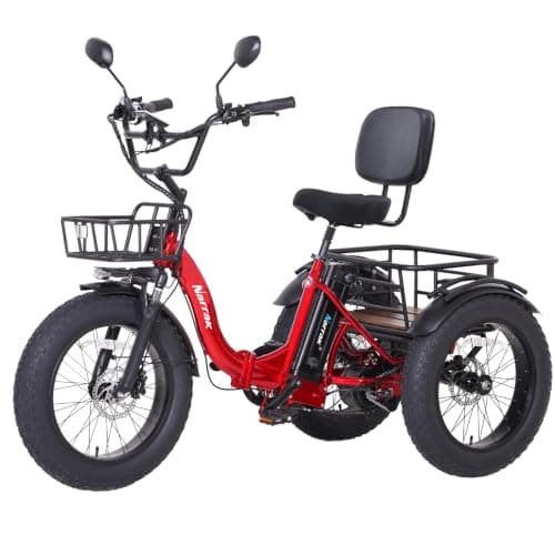 NARRAK 20 x 4 Fat Tire E-Trike