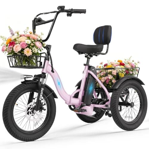 Ligood T300 Electric Tricycle