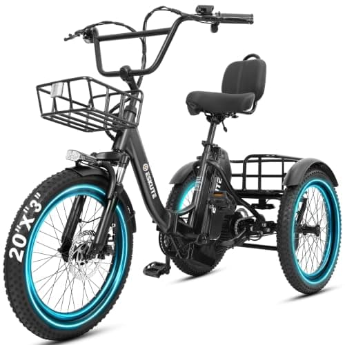 ESKUTE T300 MAX Electric Tricycle
