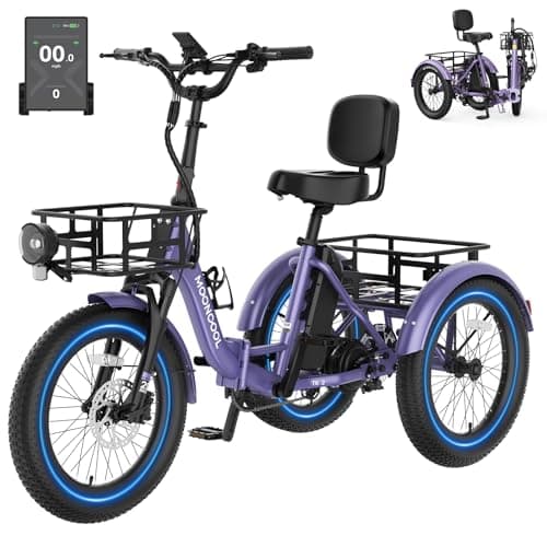 MOONCOOL 500W 20 Inch Folding Electric Trike