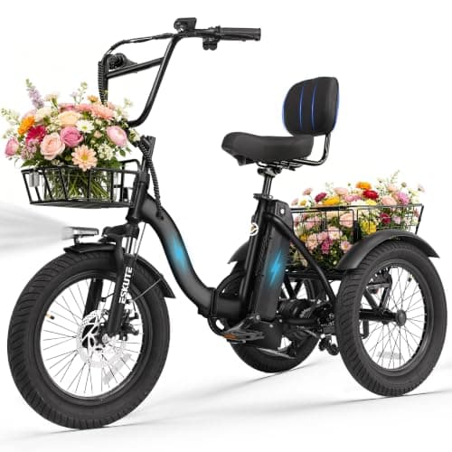 Ligood T300 Electric Tricycle
