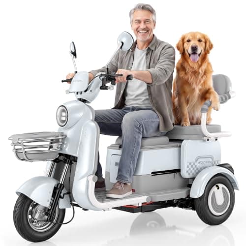 Wooken Electric Tricycle for Adults and Seniors