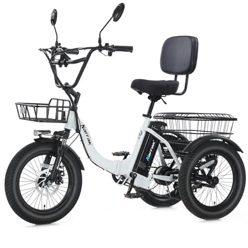 NARRAK Folding Electric Tricycle, 1100W Peak