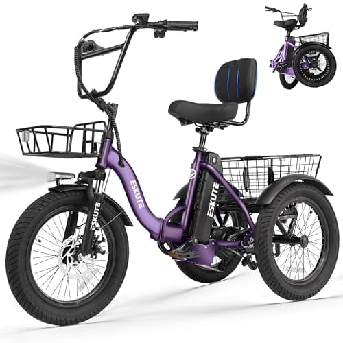 ESKUTE 624Wh Folding Electric Tricycle