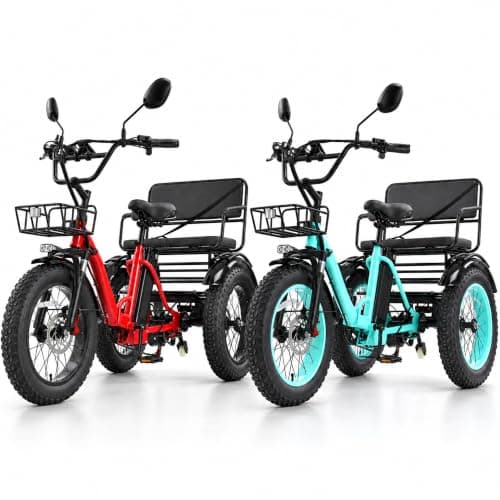 KAKIGO Two-Seater Electric Tricycle