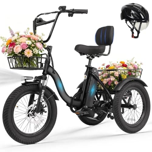 Ligood T300 Folding Electric Tricycle