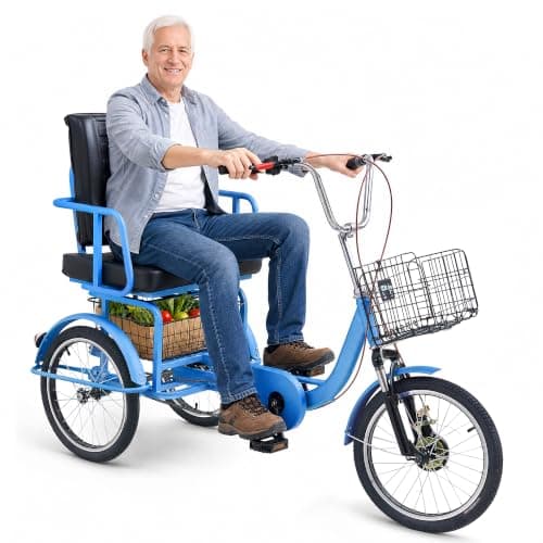 MOOITZ 18 Inch Adult Tricycle