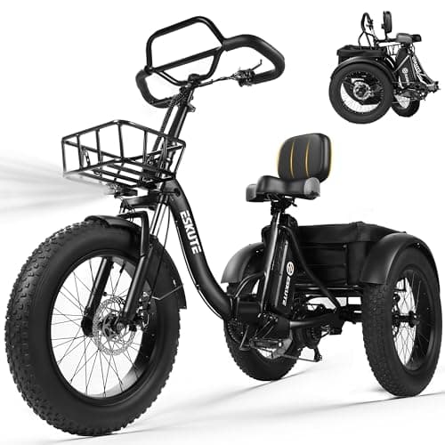 ESKUTE T300 Pro Electric Trike