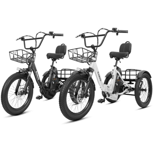 ESKUTE T300 MAX Electric Tricycle