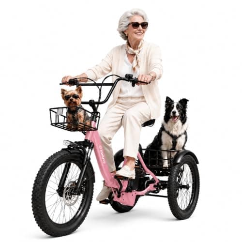 ESKUTE T300 MAX E-Trike