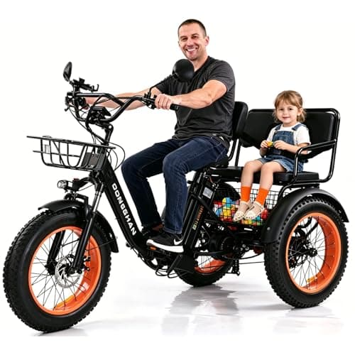 DONGSHAN Folding 2-Seater E-Trike