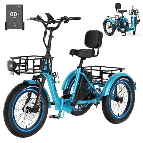 MOONCOOL 750W Folding Trike with Reverse