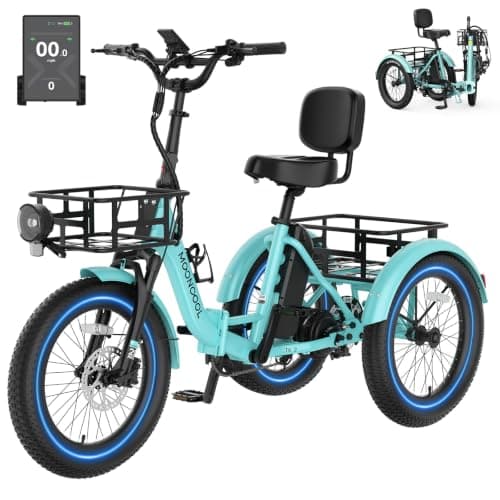 MOONCOOL 500W Electric Trike