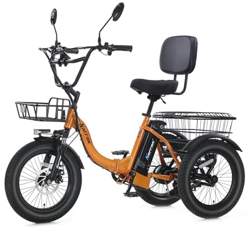 NARRAK N6 E-Trike
