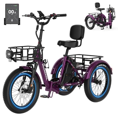 MOONCOOL 750W Folding Fat Tire Trike