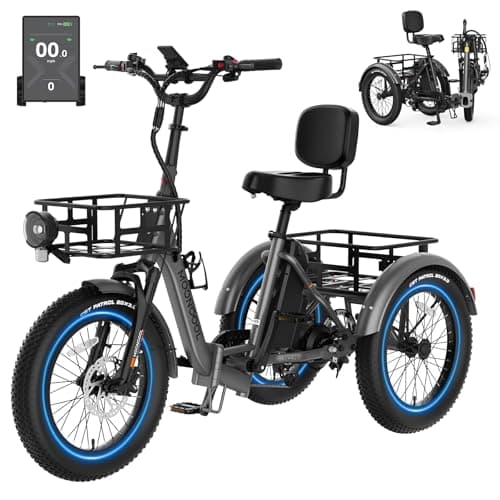MOONCOOL 750W Folding Fat Tire Trike