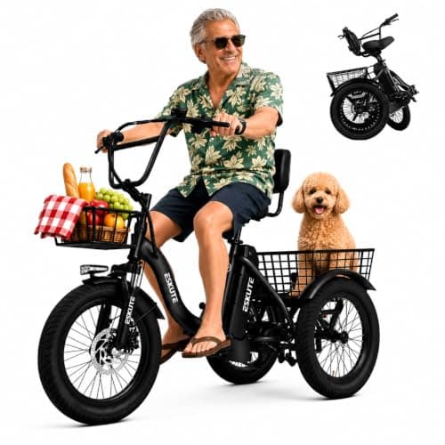 ESKUTE T300 Folding Electric Trike