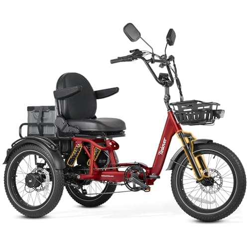 TINIOVER River Full Suspension Electric Trike