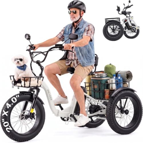 ANCHEER 749W Fat Tire Folding Trike