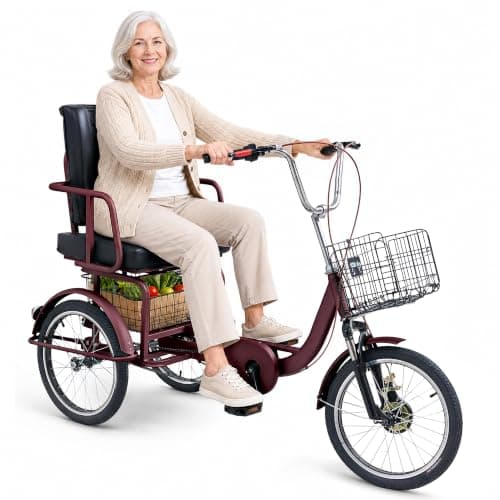MOOITZ 18 Inch Adult Tricycle