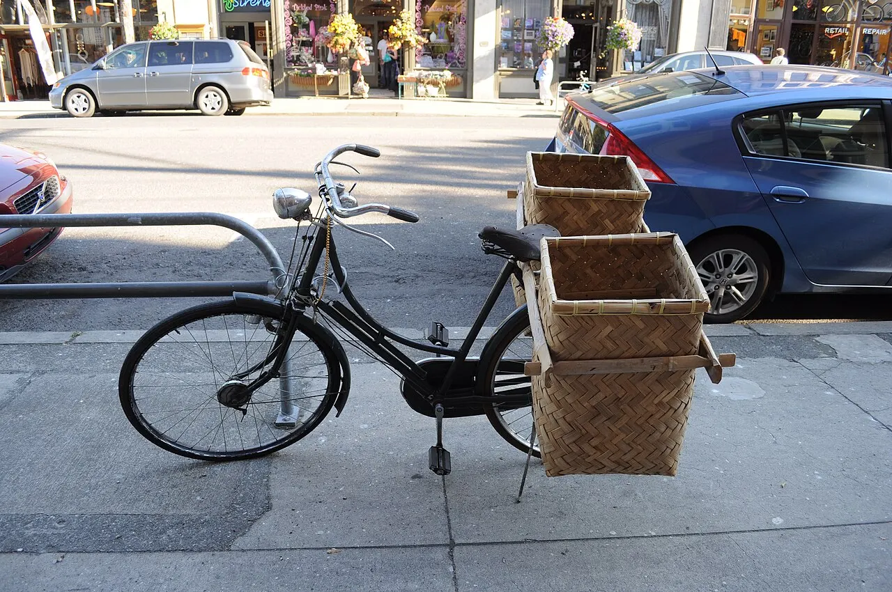 Bicycle cargo bags mounted near a rear rack