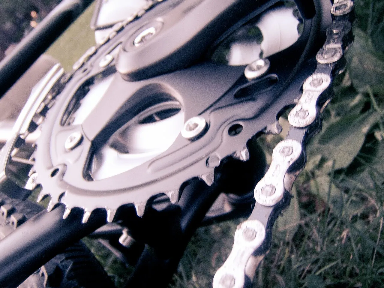 Close-up of a bicycle chain and chainring