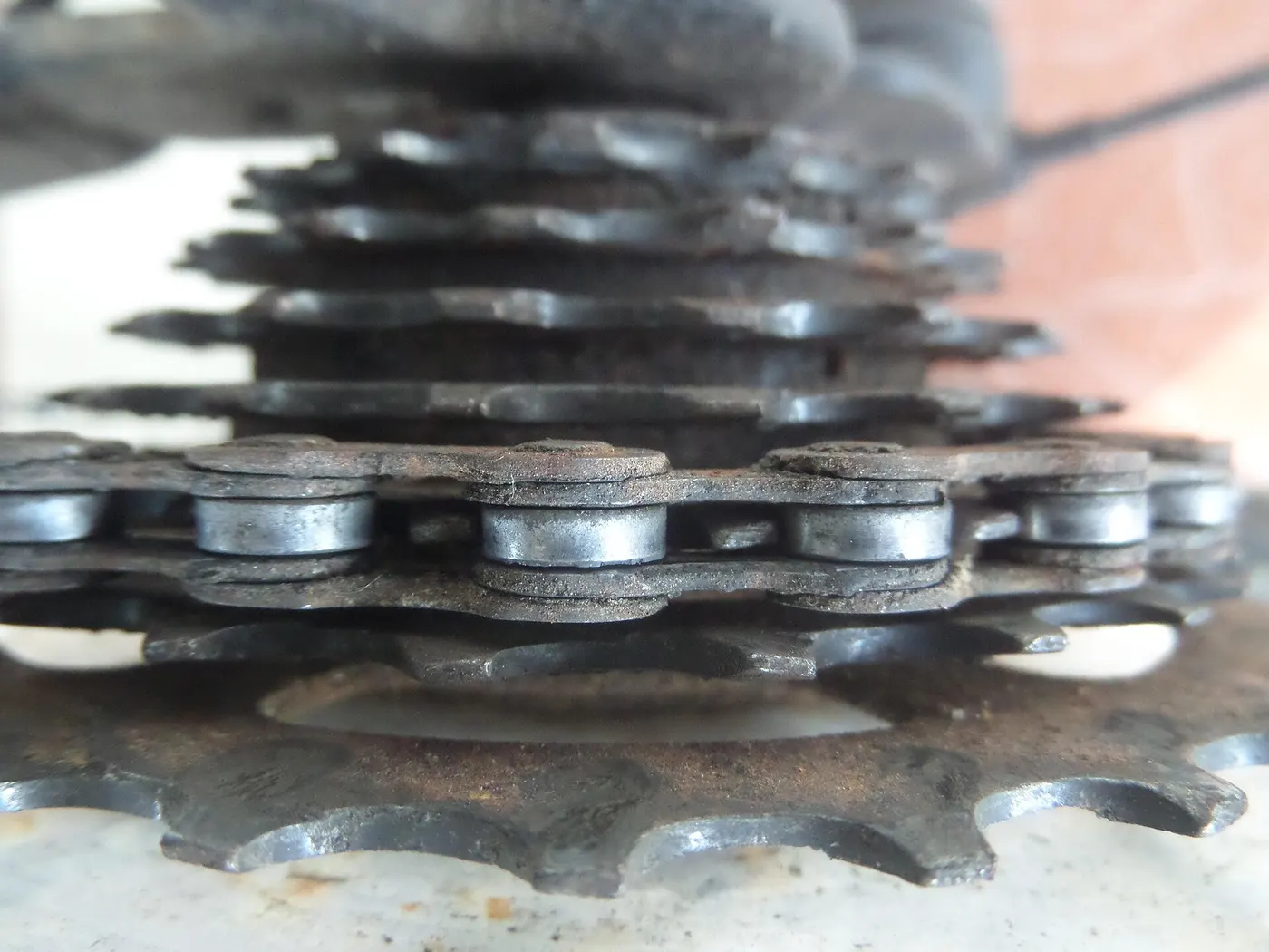 A bicycle gear cluster and chain photographed close up.