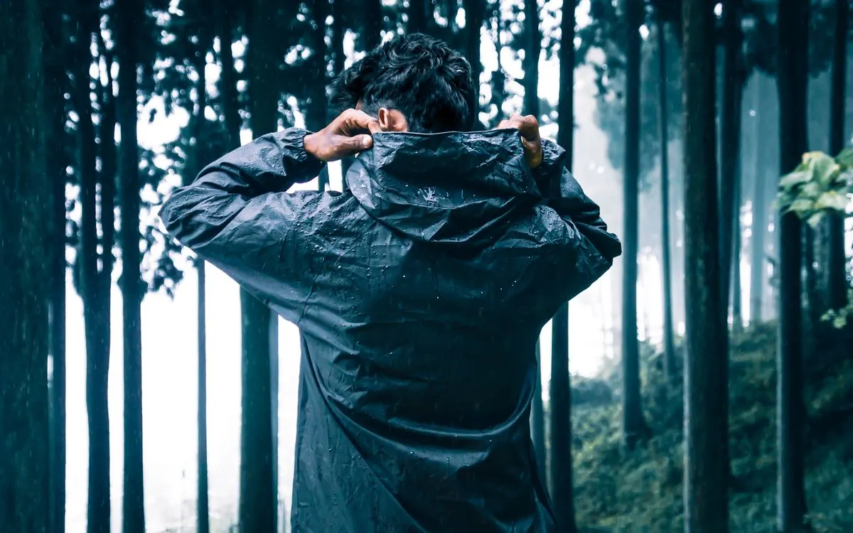 A person in a raincoat stands in a misty forest capturing the essence of fall.
