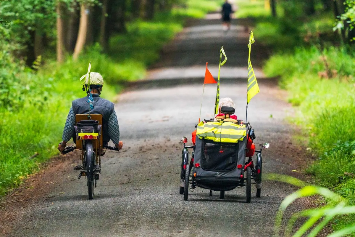 Two seniors riding bikes on a serene forest path, enjoying a summer day outdoors.