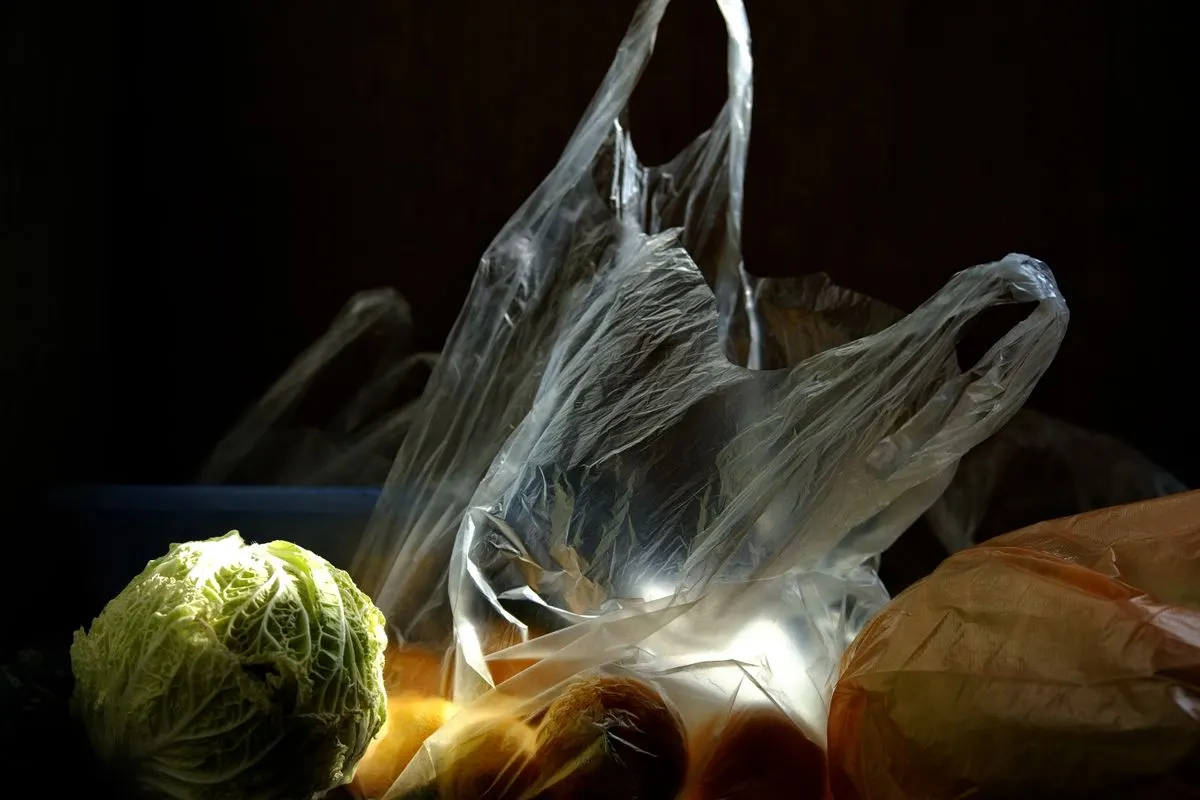 Still life of a cabbage and plastic bags with fruits illuminated in dim light, highlighting texture and shadow contrast.